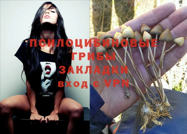 прущий лед Балабаново