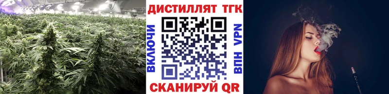 Дистиллят ТГК гашишное масло  MEGA tor  Новая Усмань 